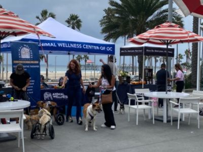 McKenna Subaru Sponsors 'Make a Dog's Day' Celebration at Pacific City in Huntington Beach!