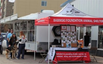 The Babinski Foundation Adopts out 42 Pets