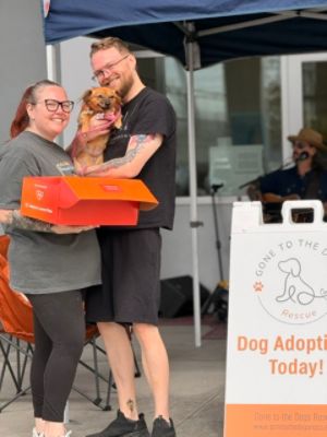 Subaru Loves Pets 2026 w/Gone to the Dogs Rescue 