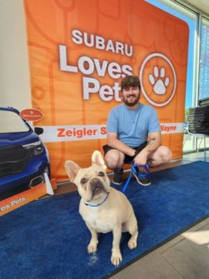 One Happy Tail at a Time