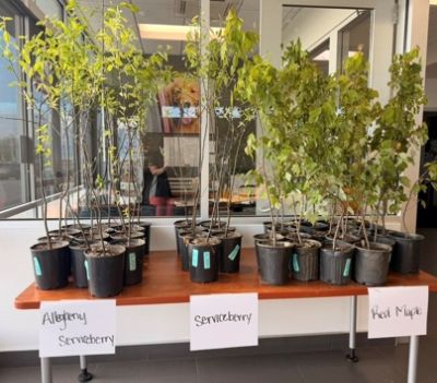 Arbor Day Tree Event