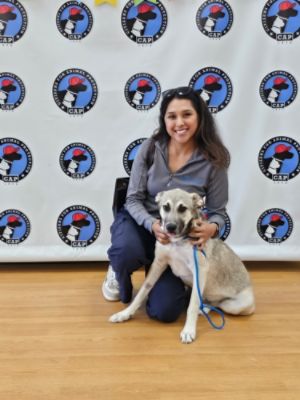 Love in Full Bloom: West Houston Subaru Helps Nearly 600 Pets Find Homes