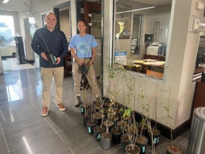 Turning leftover Trees into Lasting Impact