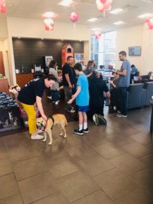 Subaru Loves Pets x Pioneers for Animal Welfare Society