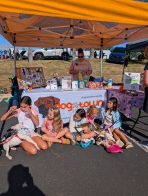 Celebration of Cars Drives Local Impact for Families and Pets