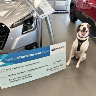 Animals in Need Helped - Thanks to Subaru!