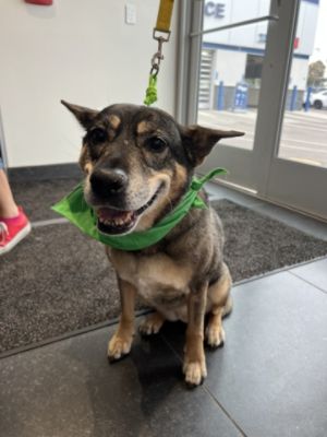 Another Successful Tail Wagging Event!