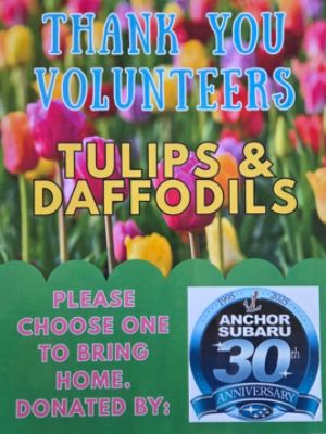 Spring flowers for NS Clean & Green Day volunteers.