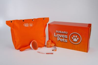 Care Kits for the Kitty Mafia Rescue 
