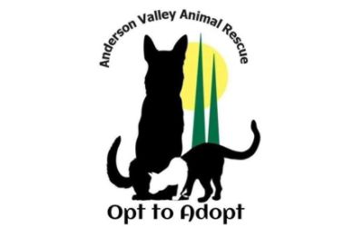 Animal Rescue of Anderson Valley