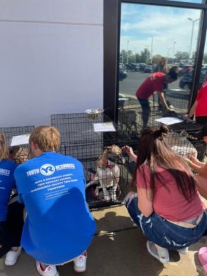 Evansville Subaru Loves Pets