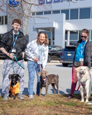 How Concordville Subaru Helps TLC Rescue Save More Dogs