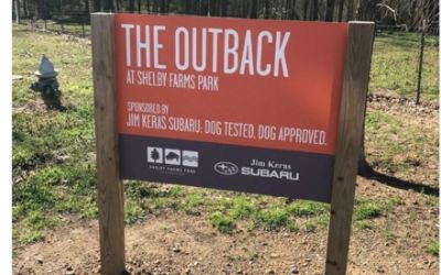 THE OUTBACK: FUN UNLEASHED 