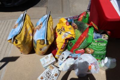 Pet Adoption Event Humane Society of Pulaski County