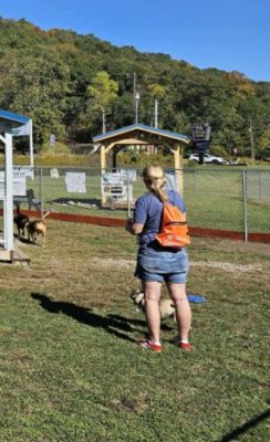 Ed Shults of Warren and Woofington Dog Park Loves Pets!