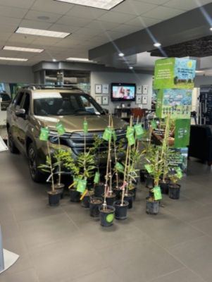 Subaru Loves the Earth 