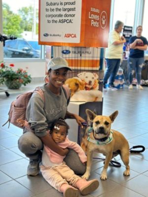 Friends Forever Animal Rescue