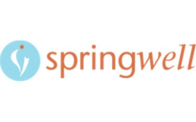 Springwell, Inc.