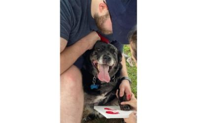 Best Friend Sponsor ~ Paws in the Park 2021