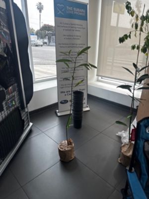 Arbor Day Foundation with Subaru Santa Monica