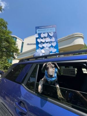 Subaru Loves to Care 