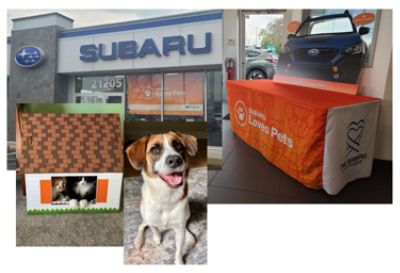 Pet adoption