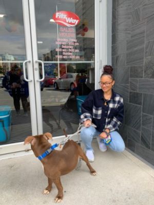 Subaru Loves Pets Month with the Humane Rescue Alliance