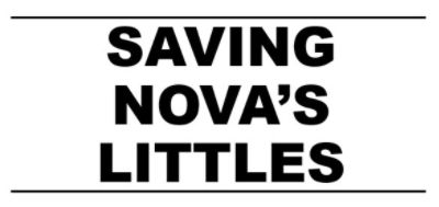 Saving NOVA's Littles