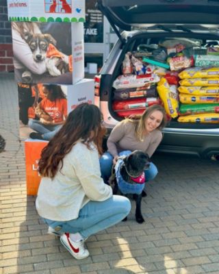 Jones Bel Air Subaru Fills a Forester with Love for Local Pets