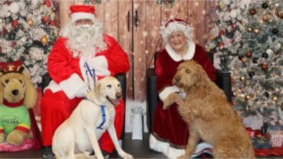 Pet Photos with Santa: A Season of Love, Healing, and Community