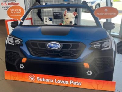 A Day of Giving and New Beginnings