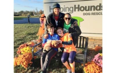 Helping Hounds Dog Rescue