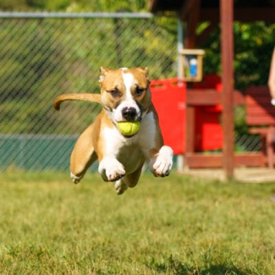 Spreading the word about Gold Hearts