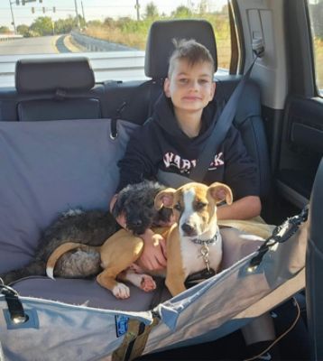 Subaru Loves Pets Month Adoption Event