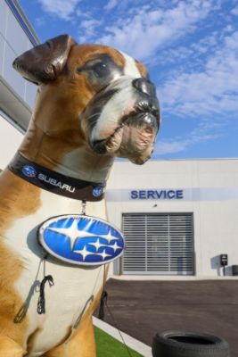 Humane Society of Pulaski County Loves Subaru of Little Rock!