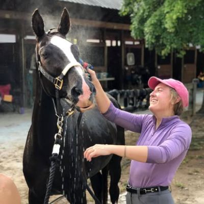 Driven by Love, Carried by Horses