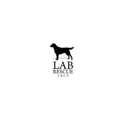 Lab Rescue LRCP