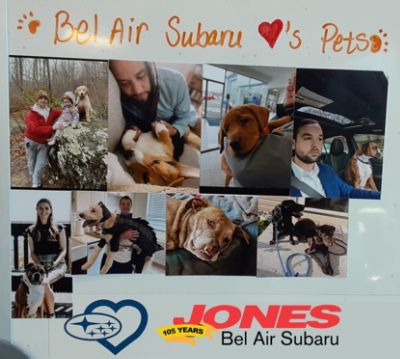 Jones Bel Air Subaru Loves Pets