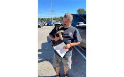 Sterling Subaru Pet Adoption