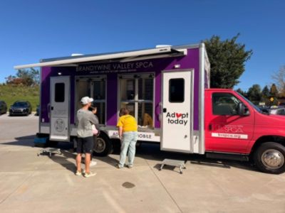 Annual Pet Adoption Event!