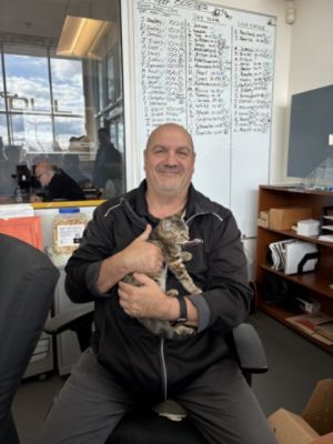 A Rags to Riches Tail