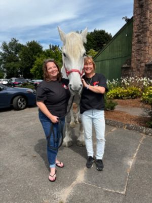 Supporting Rescue, Rehabilitation, and New Beginnings
