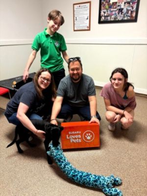 Subaru Loves Pets: Sport Subaru Hosts October Adoption Event with Pet Rescue by Judy