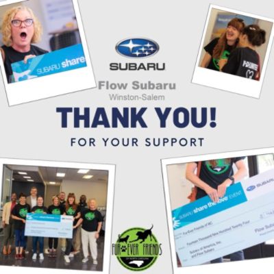 Flow Subaru's Love Promise: Supporting Pets and Community Well-being