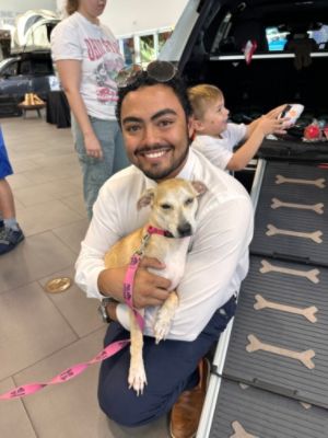 Schumacher Subaru of West Palm Dog Adoption Event
