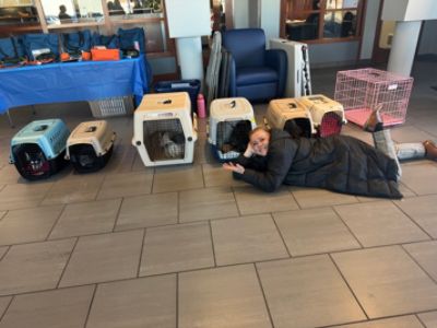 Meals on Wheels & SpokAnimal