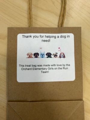McCurley Subaru - Helping GIRLS ON THE RUN run!
