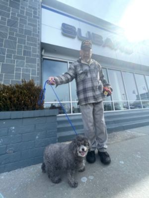 Lithia Reno Subaru Covers a Local Dog’s Surgery 