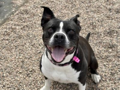 Clara Gets Her Second Chance