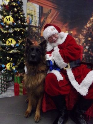 Free Vaccine Clinic and Pet Photos with Santa to Benefit BC Humane Society
